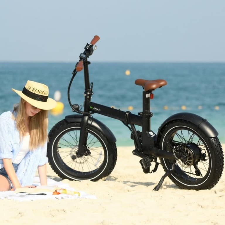 Premium E-Bike Journey - From Dubai’s Urban Skyline to the Beachfront Brunches
