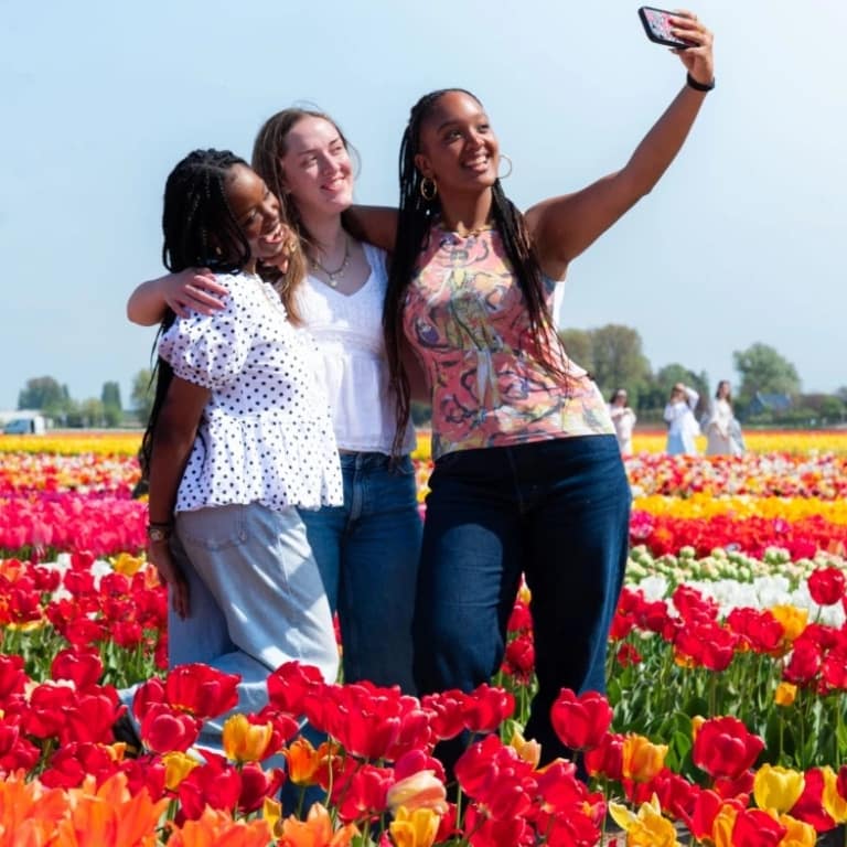Tulip Experience Amsterdam: Entry Ticket Recently Added Experiences