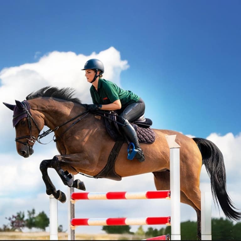 Equestrian Horse Ride at Al Forsan Recently Added Experiences