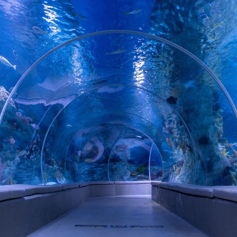 Istanbul Aquarium + Sky View + Sky Walk - Combo Combos and more adventures