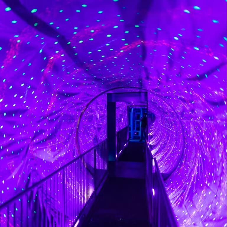 Ripley's Believe It or Not! Amsterdam: Entry Ticket Recently Added Experiences